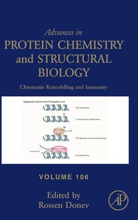 bokomslag Chromatin Remodelling and Immunity