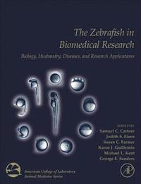 bokomslag The Zebrafish in Biomedical Research