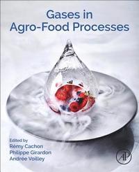 bokomslag Gases in Agro-food Processes