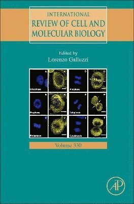 Lorenzo Galluzzi - International Review of Cell and Molecular Biology, Inbunden