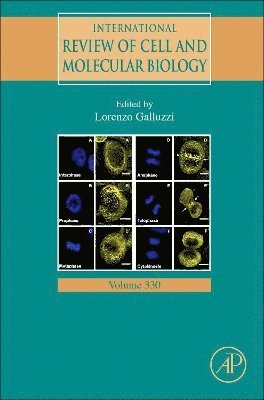 bokomslag International Review of Cell and Molecular Biology