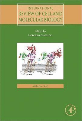Lorenzo Galluzzi - International Review of Cell and Molecular Biology, Inbunden