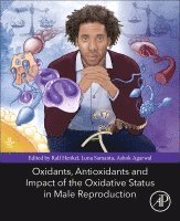 Ralf Henkel, Luna Samanta, Ashok Agarwal - Oxidants, Antioxidants, and Impact of the Oxidative Status in Male Reproduction, Häftad