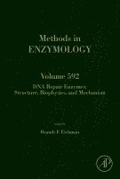 DNA Repair Enzymes: Structure, Biophysics, and Mechanism, Inbunden