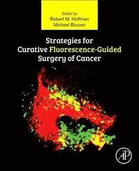 bokomslag Strategies for Curative Fluorescence-Guided Surgery of Cancer