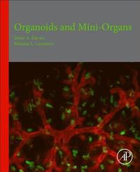 bokomslag Organoids and Mini-Organs