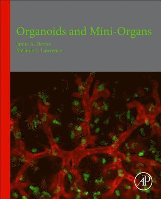 Jamie A. Davies, Melanie Lawrence, Jamie A Davies - Organoids and Mini-Organs, Häftad
