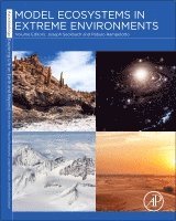 Joseph Seckbach, Pabulo Henrique Rampelotto - Model Ecosystems in Extreme Environments, Häftad
