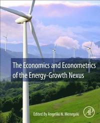 bokomslag The Economics and Econometrics of the Energy-Growth Nexus