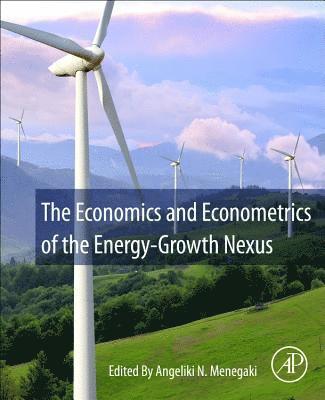 bokomslag The Economics and Econometrics of the Energy-Growth Nexus