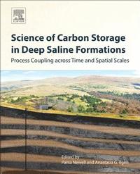 bokomslag Science of Carbon Storage in Deep Saline Formations
