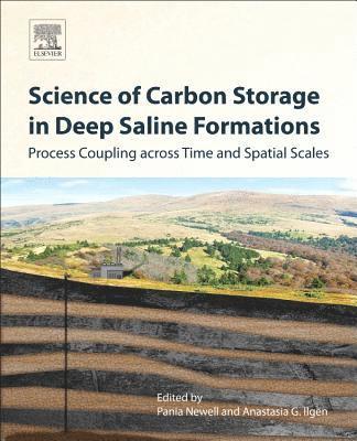 Science of Carbon Storage in Deep Saline Formations 1