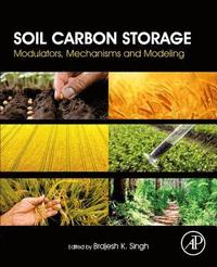 bokomslag Soil Carbon Storage