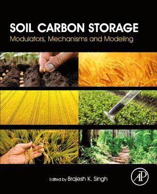 Soil Carbon Storage 1