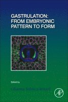 bokomslag Gastrulation: From Embryonic Pattern to Form