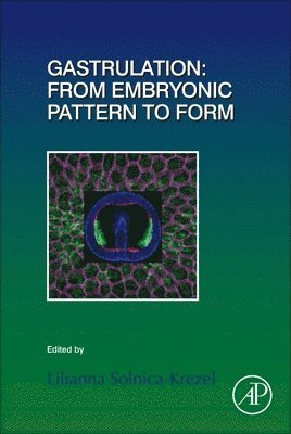 Lilianna Solnica-Krezel - Gastrulation: From Embryonic Pattern to Form, Inbunden