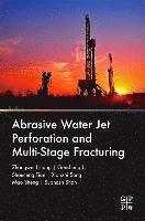 bokomslag Abrasive Water Jet Perforation and Multi-Stage Fracturing