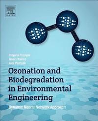 bokomslag Ozonation and Biodegradation in Environmental Engineering