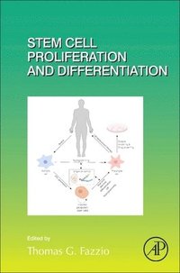 bokomslag Stem Cell Proliferation and Differentiation
