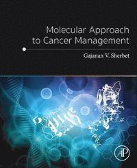 bokomslag Molecular Approach to Cancer Management