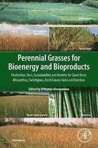 bokomslag Perennial Grasses for Bioenergy and Bioproducts
