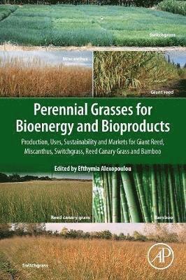 Perennial Grasses for Bioenergy and Bioproducts 1