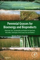 Efthymia Alexopoulou - Perennial Grasses for Bioenergy and Bioproducts, Häftad