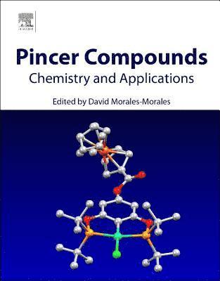 bokomslag Pincer Compounds