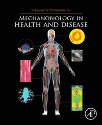 bokomslag Mechanobiology in Health and Disease