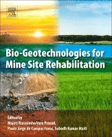 M.N.V. Prasad, Paulo Jorge de Campos Favas, Subodh Kumar Maiti - Bio-Geotechnologies for Mine Site Rehabilitation, Häftad