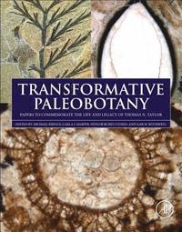bokomslag Transformative Paleobotany
