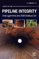 bokomslag Pipeline Integrity