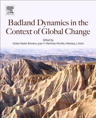 bokomslag Badlands Dynamics in a Context of Global Change