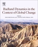 Badlands Dynamics in a Context of Global Change 1