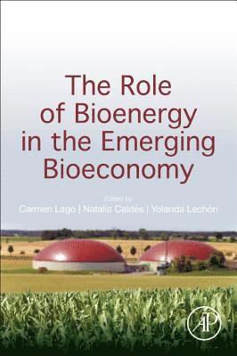 bokomslag The Role of Bioenergy in the Emerging Bioeconomy