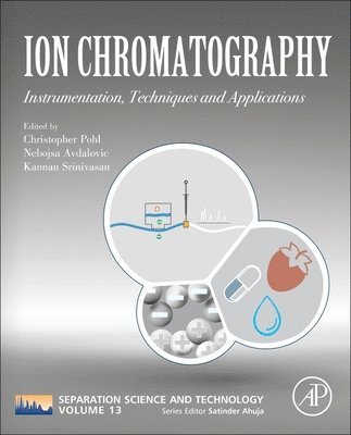 bokomslag Ion Chromatography