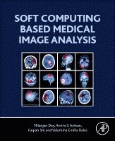 Nilanjan Dey, Amira S. Ashour, Fuquian Shi, Valentina Emilia Balas - Soft Computing Based Medical Image Analysis, Häftad