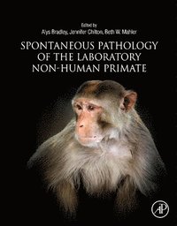 bokomslag Spontaneous Pathology of the Laboratory Non-human Primate