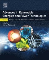 Imene Yahyaoui, Spain) Yahyaoui, Imene (Universidad Carlos III of Madrid - Advances in Renewable Energies and Power Technologies, Häftad
