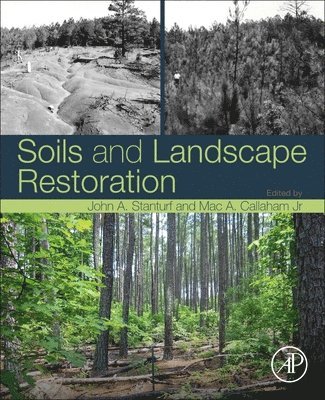 bokomslag Soils and Landscape Restoration