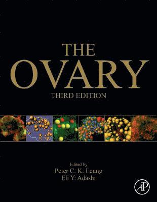 Peter C.K. Leung, Eli Y. Adashi, Peter C. K. Leung, Peter C K Leung, Eli Y Adashi - The Ovary, Inbunden