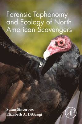 bokomslag Forensic Taphonomy and Ecology of North American Scavengers