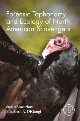 Forensic Taphonomy and Ecology of North American Scavengers 1