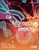 David P. Clark, Nanette J. Pazdernik, Michelle R. McGehee - Molecular Biology, Inbunden