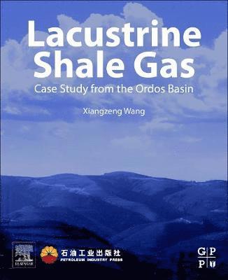 bokomslag Lacustrine Shale Gas