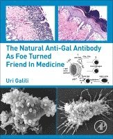 Uri Galili - The Natural Anti-Gal Antibody as Foe Turned Friend in Medicine, Häftad