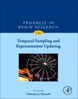Temporal Sampling and Representation Updating, Inbunden