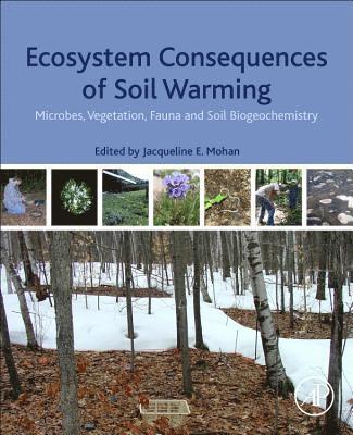 bokomslag Ecosystem Consequences of Soil Warming