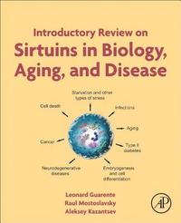 bokomslag Introductory Review on Sirtuins in Biology, Aging, and Disease