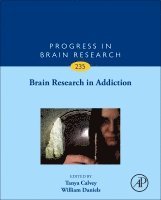 Brain Research in Addiction, Inbunden